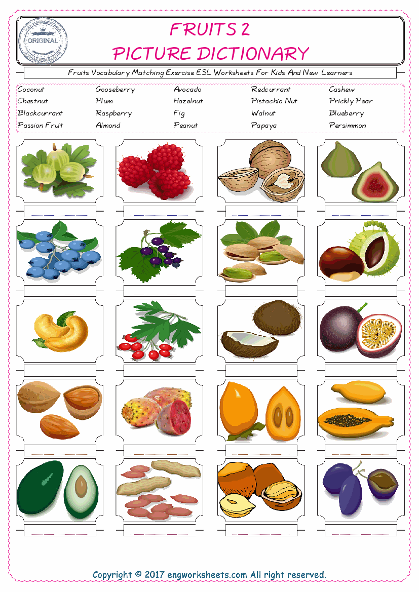  Fruits for Kids ESL Word Matching English Exercise Worksheet. 